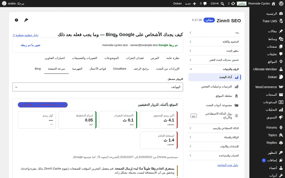 علامة تبويب سرعة الصفحة