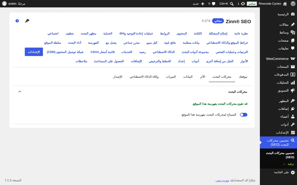 تأكد من السماح لمحركات البحث بفهرسته